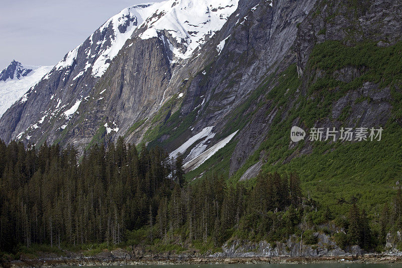 白雪皑皑的岩石悬崖和高耸的森林排列在阿拉斯加的特蕾西・阿姆峡湾