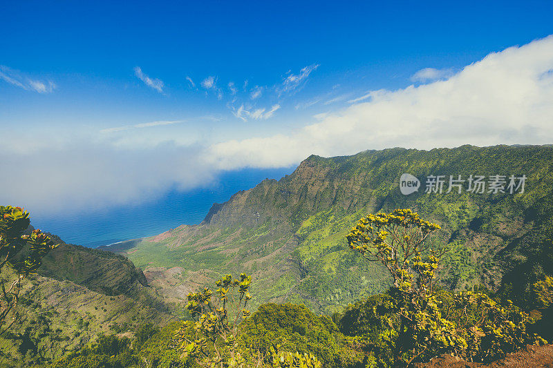 卡拉劳山谷，考艾岛，夏威夷群岛