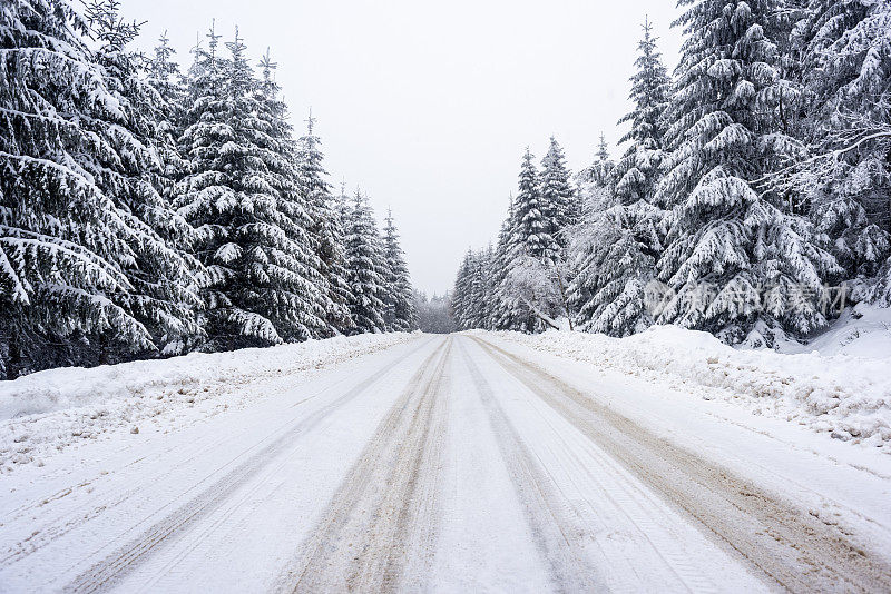 未经处理的道路与积雪的树