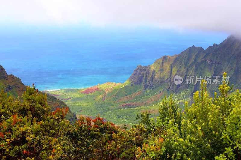 雾中的考艾绿山-雨后的卡莱帕岭