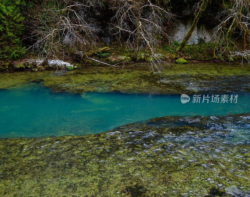 大马哈鱼溪基石