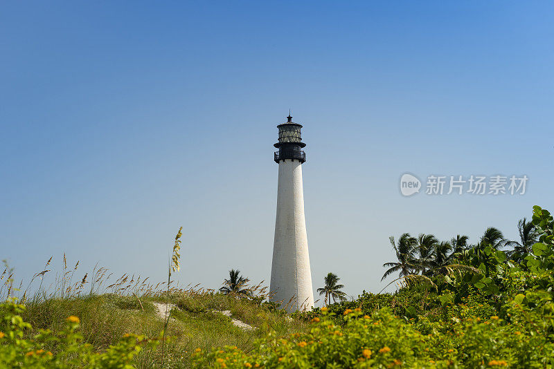 佛州光角-比斯坎岛，佛州-美国