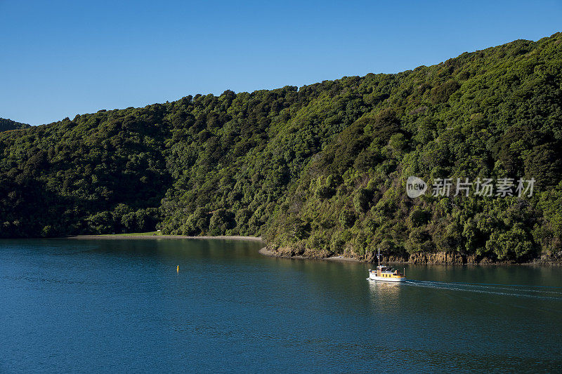 新西兰海岸