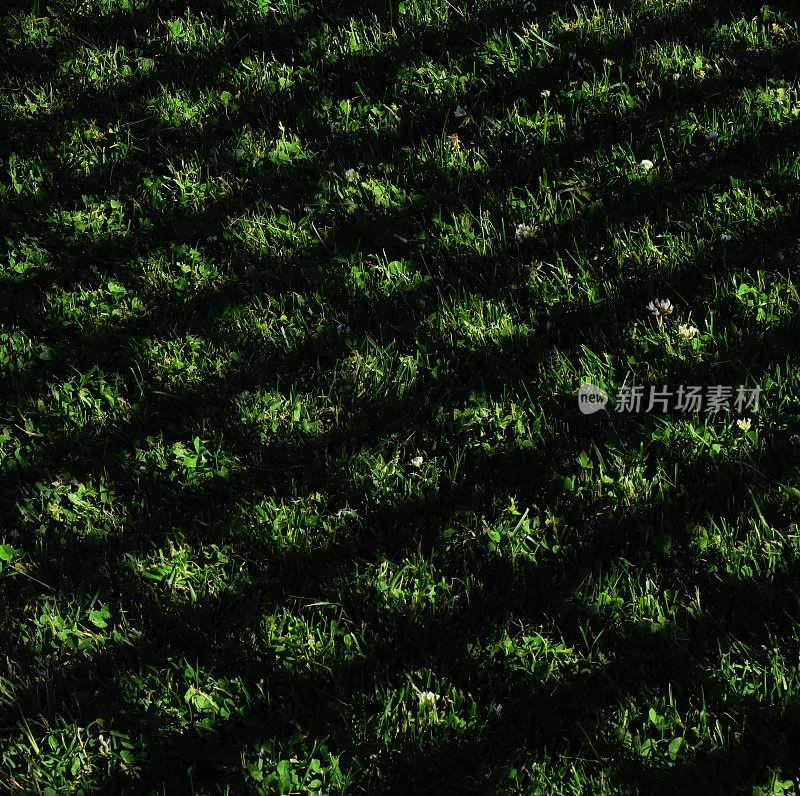 草地上篱笆上的阴影图案
