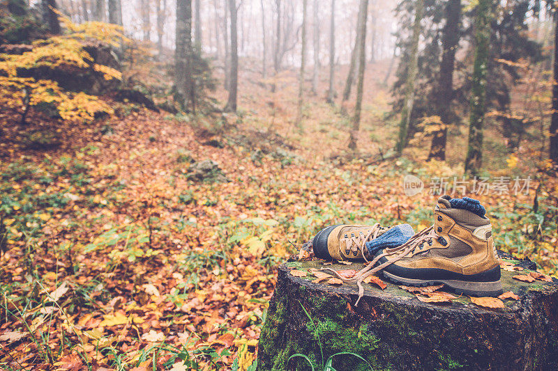 在欧洲秋天的森林里，徒步靴放在树桩上