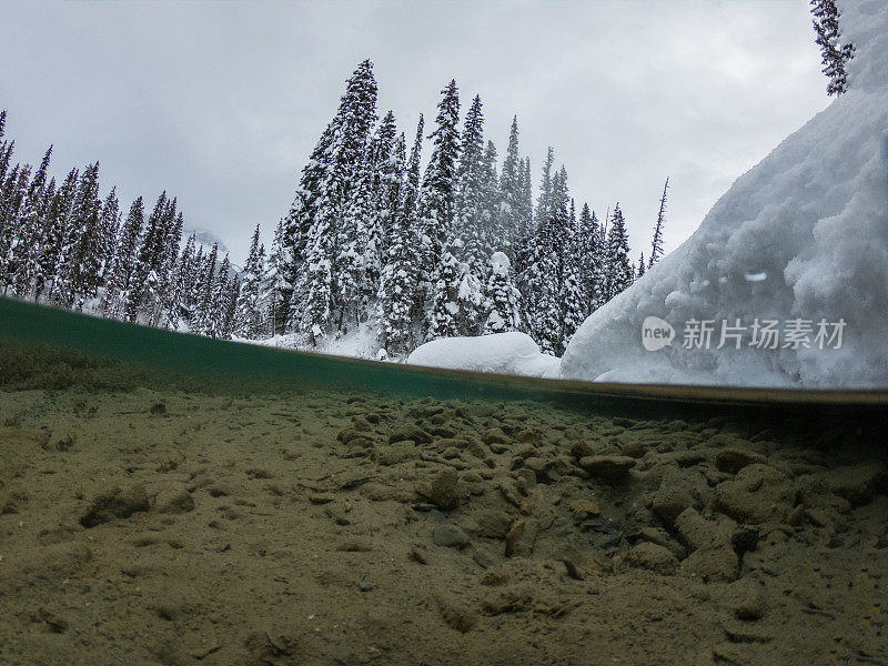 半水下拍摄的翡翠湖与松树覆盖的雪