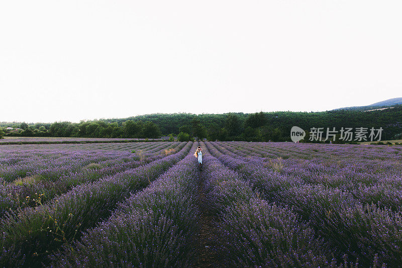 一名女子在法国美丽的薰衣草花丛中迎接夏日日落