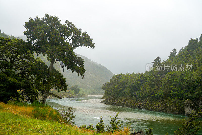 新西兰西海岸的布勒河