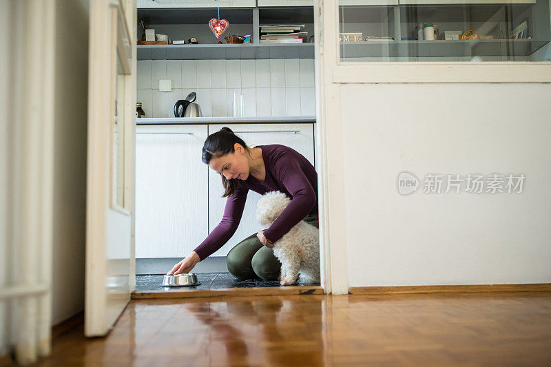 女人和她收养的狗