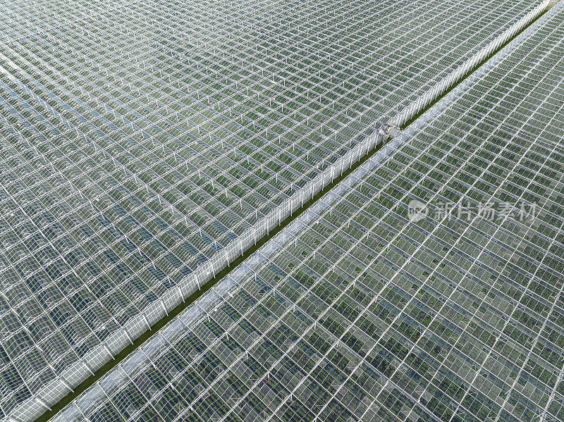 从空中俯瞰种植蔬菜的温室