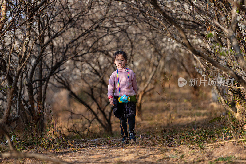 在黄昏的梅林里