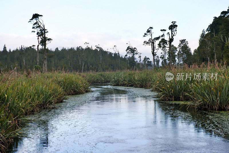 Māhinapua新西兰韦斯特兰国家公园霍基蒂卡附近的小溪和湿地自然保护区
