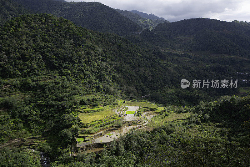 菲律宾巴塔德的水稻梯田