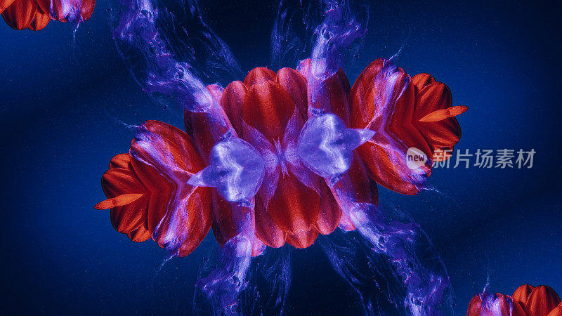墨射在水中的花朵分形，花瓣呈蓝红色