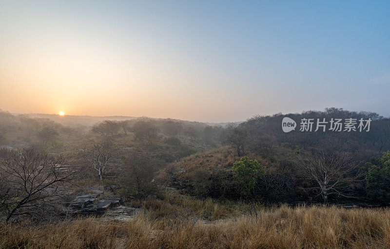 在印度拉贾斯坦邦的Ranthambore国家公园，充满活力的日出笼罩着令人叹为观止的丛林风光