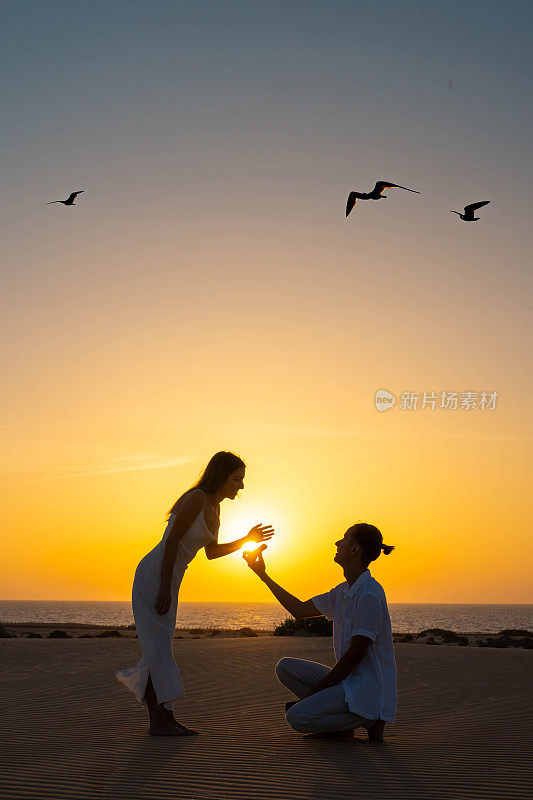 一对情侣在日落时分与飞翔的海鸥一起求婚的浪漫剪影
