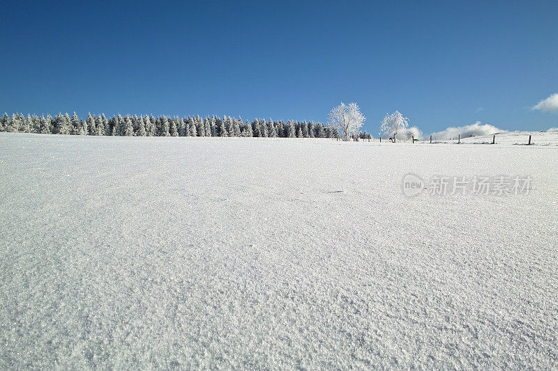 黑森林冬天的雪景