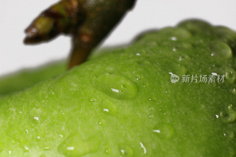 绿色苹果的特写，白色背景上的水滴，
