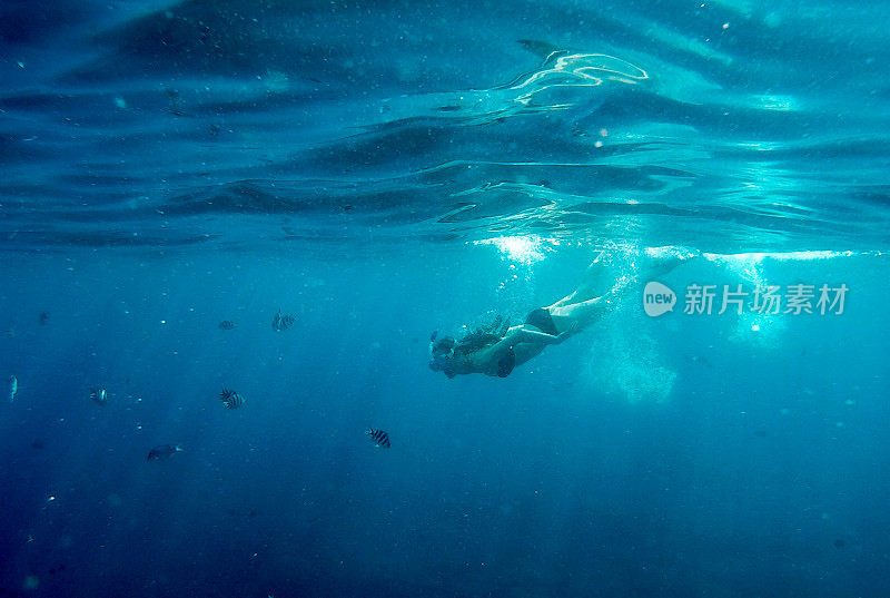 女孩和鱼儿一起潜入深蓝色的水中，水下画卷