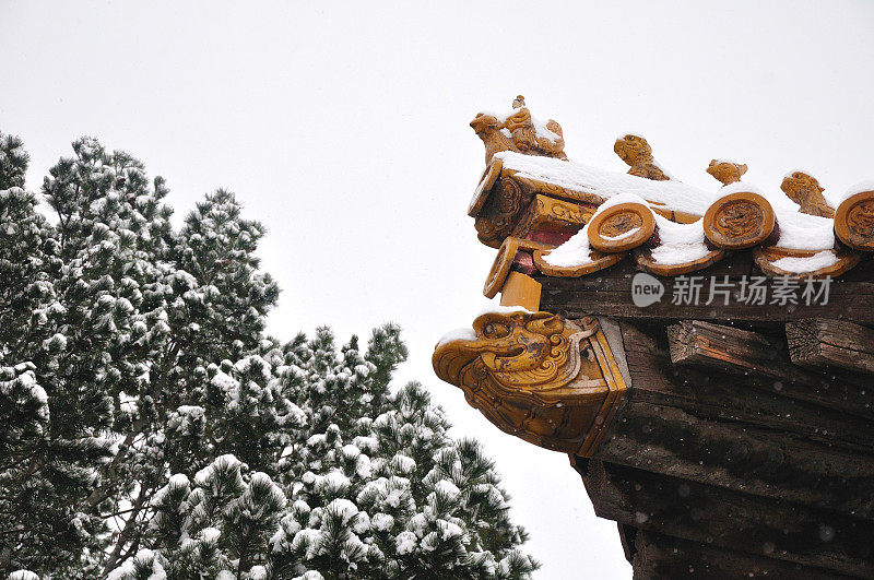 紫禁城下大雪