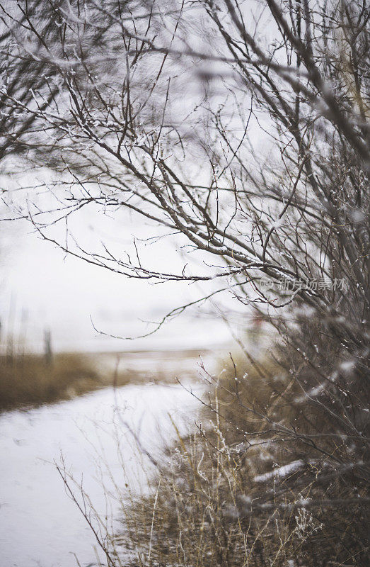 柔和的绘画背景风景。树木和覆盖着积雪的乡间小路