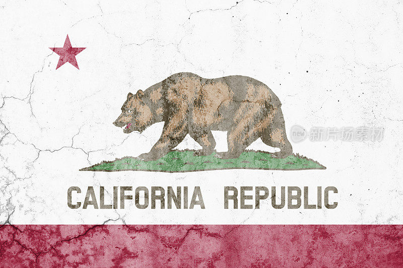加利福尼亚共和国国旗