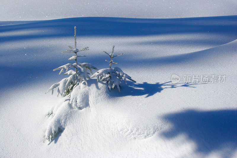 雪景