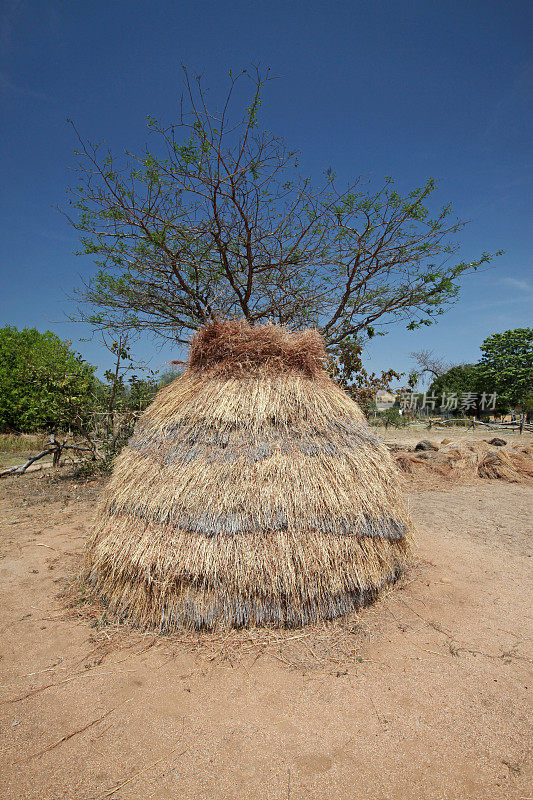 传统的非洲茅草屋