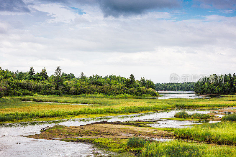 Kouchibouguac国家公园湿地