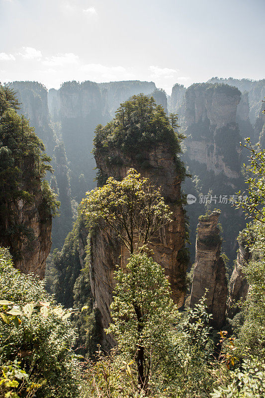 砂岩柱，张家界国家森林公园，中国