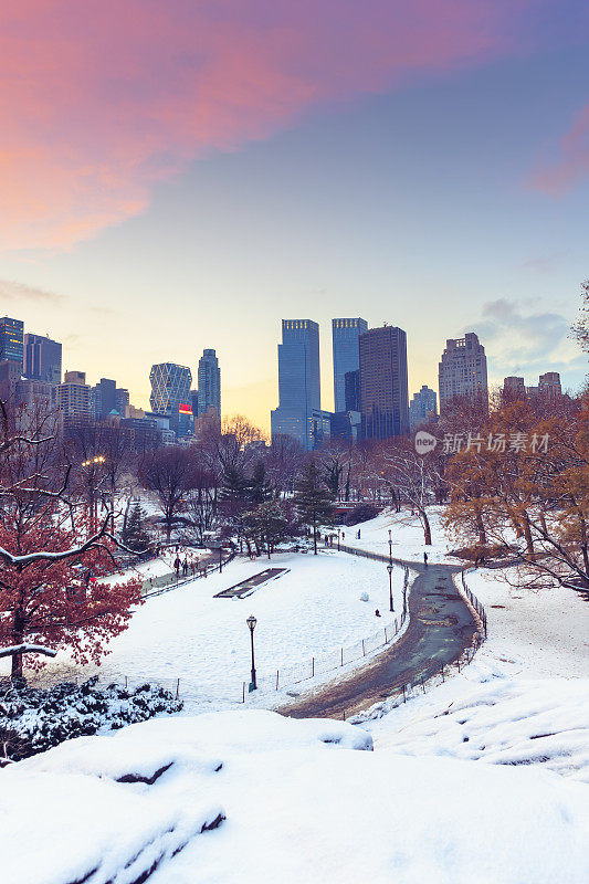 纽约中央公园的冬天