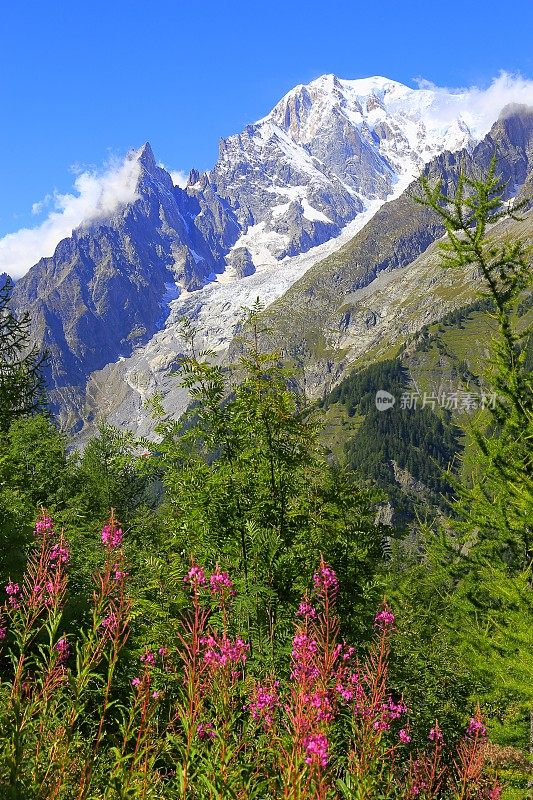 阿尔卑斯山景观，勃朗峰山头，意大利奥斯塔阿尔卑斯