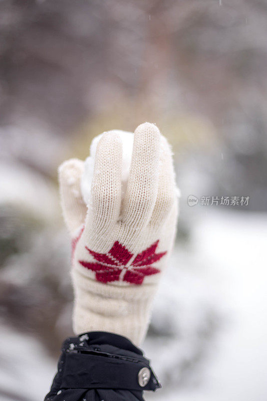 雪球在手里