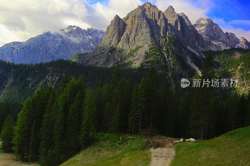 小径田园诗般的绿色松树林，白云石，意大利泰洛阿尔卑斯山