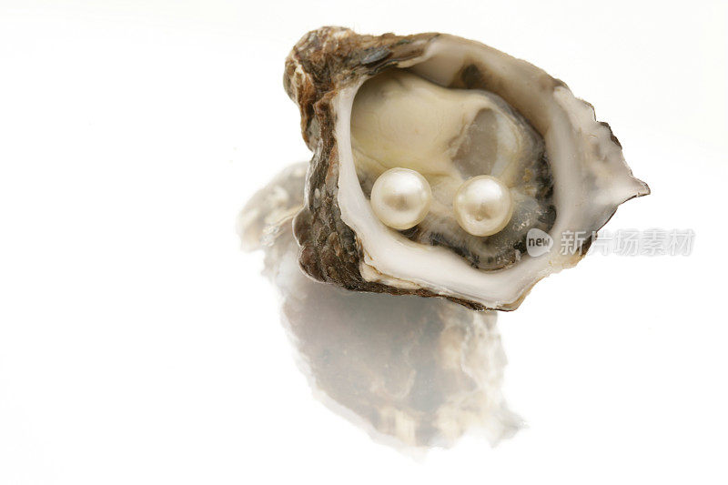 牡蛎和珍珠