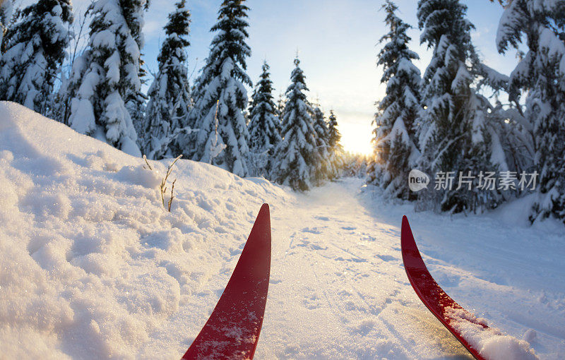 挪威奥斯陆的越野滑雪日落时分