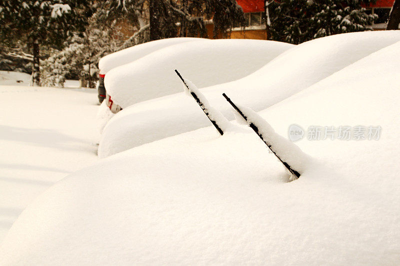 雪下的汽车
