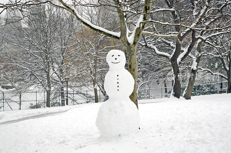 中央公园的雪人