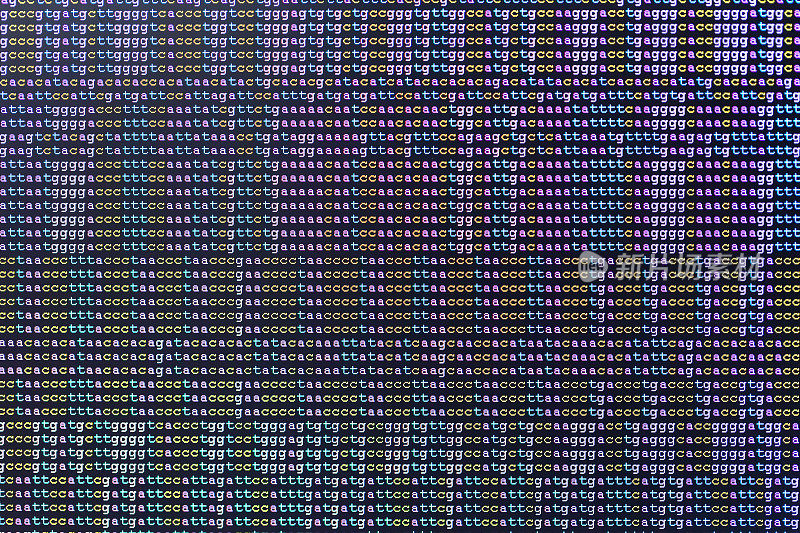 彩色编码DNA序列在监视器上