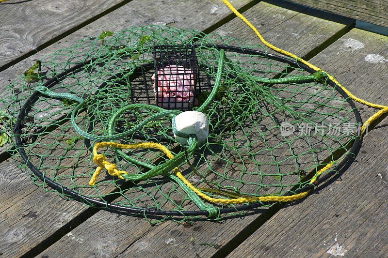 蟹圈，陷阱，诱饵箱，木头码头湾，俄勒冈州新港