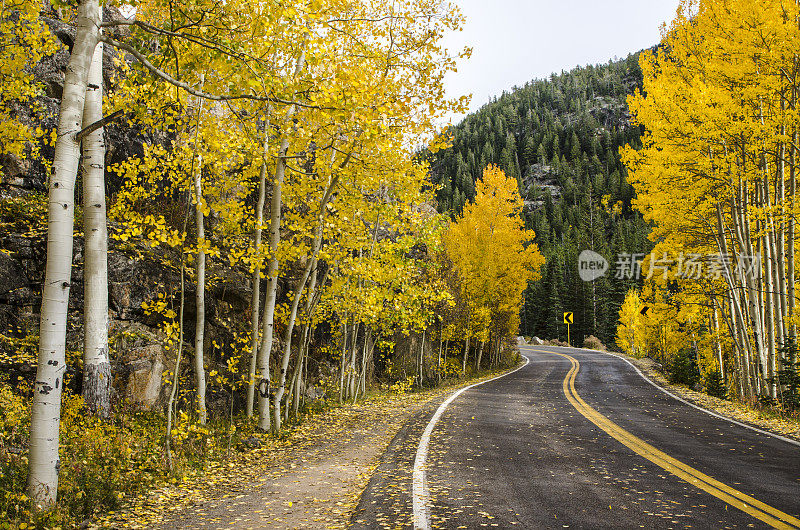 穿越科罗拉多落基山脉的白杨树的道路