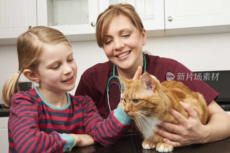 女孩带着猫去看兽医