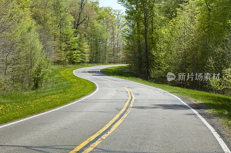 蜿蜒的道路穿过森林在春天