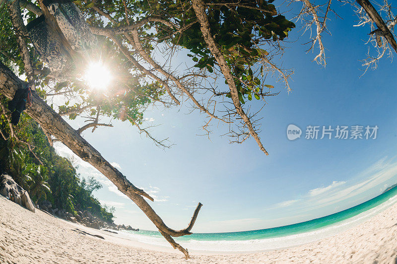 塞舌尔空荡海滩的鱼眼景色