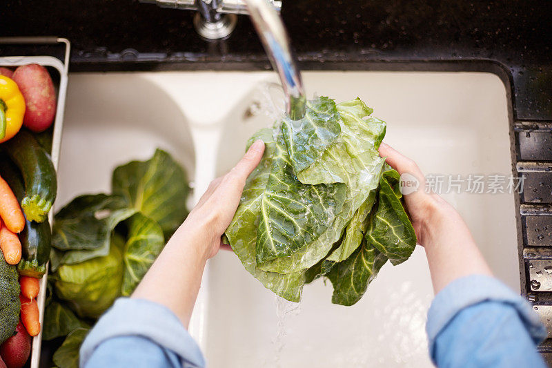 女人的手在水龙头下洗白菜