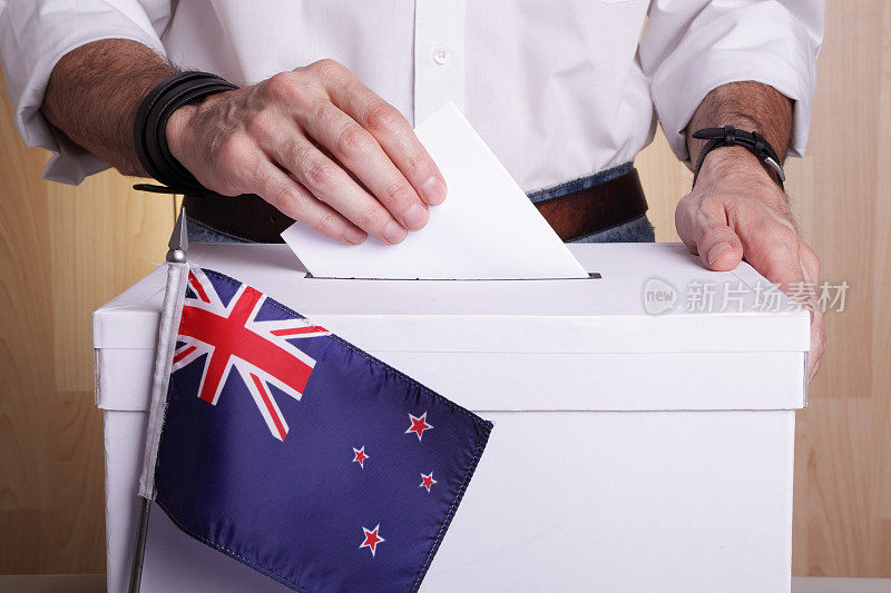 新西兰人投票