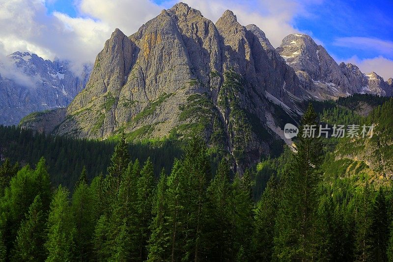 田园诗般的绿色松树树林日落，白云石，意大利泰洛阿尔卑斯山