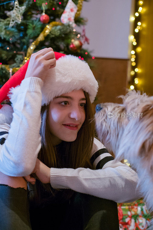 女孩和狗躺在圣诞树旁