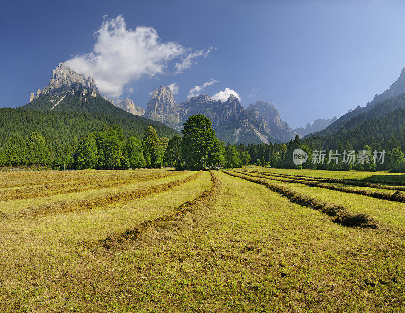 瓦尔卡纳里(意大利多利)