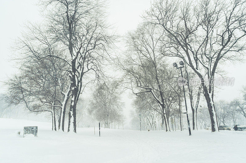 雪灾在公园里，横着。